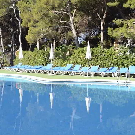 Hotel Diamant Junior 3*